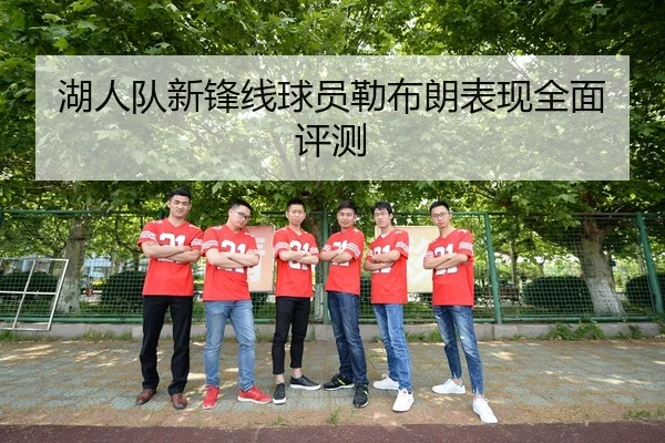 湖人队新锋线球员勒布朗表现全面评测